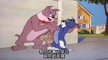 布瑞要教儿子如何赶走猫，可怜的汤姆被逼配合演出