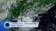 台风“鹦鹉”登陆了!东莞台风蓝色预警持续生效!未来几天…