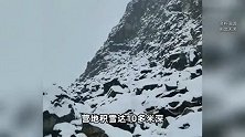 珠峰东坡营地近千人因暴雪被困，有人失温，景区数百人救援