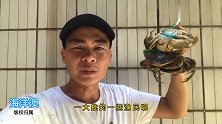 粤西海鲜青海蟹是多么好吃，美味营养价值丰富，物美廉价