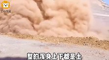 爆笑：本来是装车的，现在等灰下去都能把车埋了！