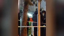 周深现身央视春晚备播录制，蹦起来给粉丝打招呼，向粉丝鞠躬道谢