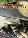 江苏苏州：鲜活的鱼儿该怎么囤，男子用冰箱给大家做了个示范