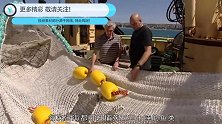 海上霸主花4亿建造世界上最大的拖网渔船，收网那一刻极其壮观