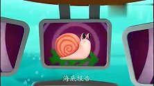 海底小纵队： 巨藻林是藏身好去处 也是海螺安家之处