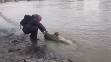 法国一男子河边拽出“尼斯湖水怪” 围观路人都被吓坏了