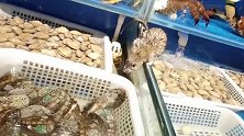 网友海鲜店吃饭遇老鼠乱爬 店家：每个月做3次消杀 不知道哪的
