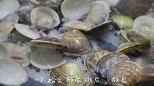 教你做一道文蛤酿肉，汤汁清淡不失香味，一大碗不够吃