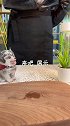 有时候我词不达意 但遇见你 我真的很开心网红饮品 美食创作人