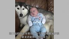 哈士奇一直往婴儿房跑，妈妈推开门看到这幕后，令人感动！