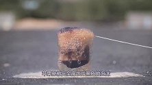 浓硫酸与血液接触会发生什么？老外亲测，画面简直不忍直视！