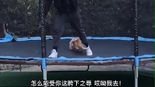 爆笑：这是人干的事吗？不把我当狗就算了，还逼我受胯下之辱！