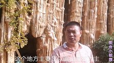 花卉市场发现了如此精美的钟乳石，一起来看看吧！
