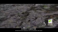 20170913-探访神奇的铸剑之都-看鉴地理103集