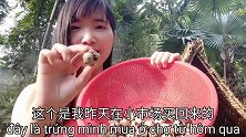 越南媳妇给老公煮40个鸟蛋，两人边吃边喝，讲讲小时候的故事