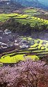 山重水复疑无路，柳暗花明又一村！