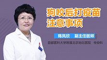 狗咬后打疫苗注意事项