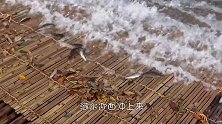 河里黑压压一片，小伙一网子下去，水面瞬间沸腾！