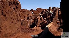液体水泥浇灌：白蚁窝全貌 ，犹如迷宫，堪称伟大的工程！