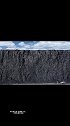 100多米厚的煤层是怎么形成的？远古地球上真的有这么多植物吗？总有好事会花生
