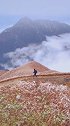 一个人的旅行，自由自在，可以漫无目的的游荡，不求遇见谁，也不求遇上醉美的风景，只为遇见真实的自己武功山
