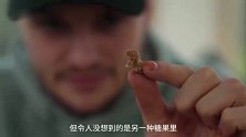 老外试吃78年前的糖果，刚闻到味道就吐了，这真的能吃吗