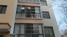 陕西咸阳：险！奶奶下楼取快递，孙子头卡防盗窗身体悬半空