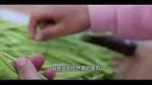 乡村春景别有风味，胖妹溜达一圈，买3斤芦蒿，清香爽口吃过瘾