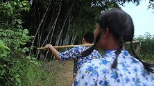 小俩口去地里干活回来，本想捡点柴火回去，却被路人强硬拿走了