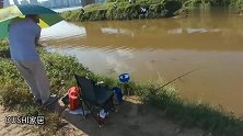 老钓友一杆一椅一把伞小河边野钓，拉饵钓浮感受接连上鱼的乐趣