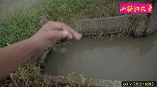 钓鱼：庄稼地旁小水渠，没想到是个连杆的好地方