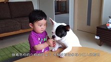 贪吃的狗狗将小宝宝弄哭了，还模仿宝宝哭泣，真是个损友啊！
