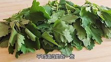 又到了吃灰灰菜的季节，教你简单一做，鲜嫩营养好