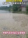 四川乐山：鱼塘内几万斤鱼全部死亡，养殖户损失几十万