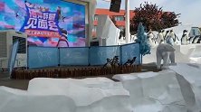 武汉海洋公园时隔仨月恢复开园 动物盯着游客看不停