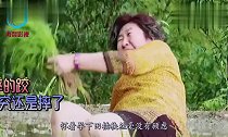 蔡少芬怀孕下田插秧,张伦硕妈妈一屁股摔田里,惹大家爆笑连连