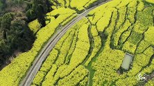 世界上最后一列客运蒸汽小火车，在四川小镇的花海中穿行了60年