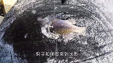 男子在冰面垂钓，小鱼上钩正高兴时，没想到惊喜还在后面！