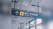 宁波机场T1航站楼正式启用