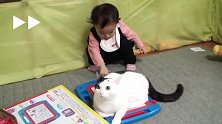 1岁宝宝和猫咪的玩具争夺战，最后猫咪瞳孔放大的表情好可爱