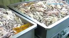 令人难以置信的现代巨型鱼章鱼和海鲜加工技术。大金枪鱼切割技巧