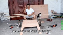 小吉把拉板车的护栏做好了，哈士奇在旁监工指导，这傻狗事可真多