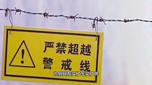 已婚女硕士爱上男网友，送车送房“送人”，骗子只有小学学历
