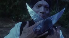 皇上出门游玩，万万没想到竟被敌人发现，直接派出绝世高手刺杀！