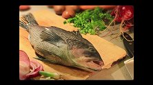 魔性短片：一条鲜鱼的最后哀鸣