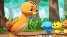 萌鸡小队：秧鸡好任性！到处惹祸，真讨厌