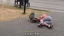 二哈：眼镜一戴，我就是文质彬彬的斯文败类！