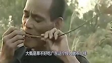 广东“吃草”怪人，吃草十多年，网友：真的不是属牛的吗？