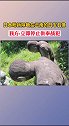 云南腾冲边境掩埋日本兵的倭塚，日方要求拆除4个跪着的日本兵石像。我方回应道：停止供奉战犯，正视历史向我国道歉。