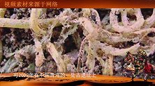 一碗历经了4000年的面条，完整出土，直接改写了世界历史